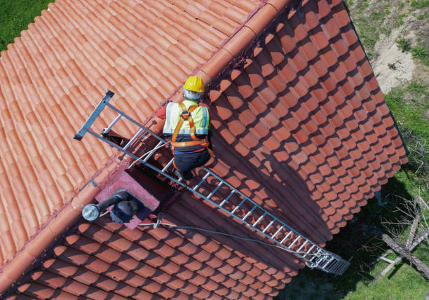 Best Skylight Installation and Repair  in Elk Creek, KY